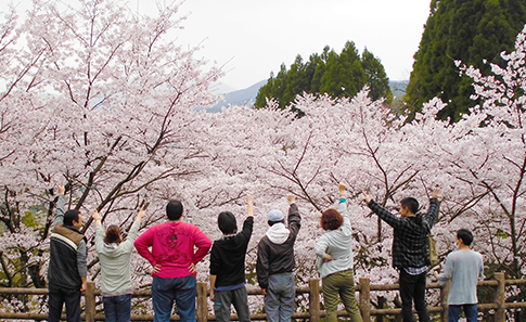 自然豊かな山都町で